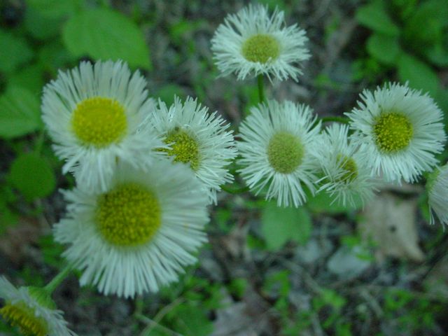 Click to see next picture